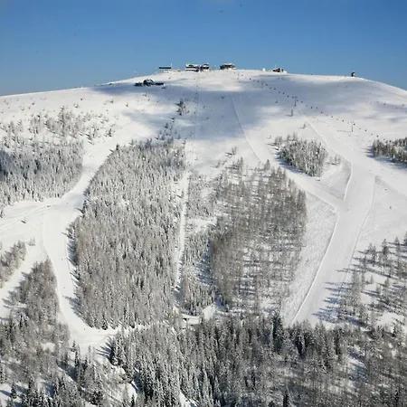 Cozy In Am Near Gerlitzen Area Apartment Afritz