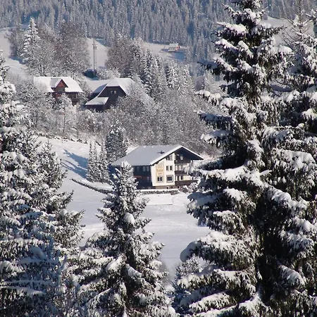 Cozy In Am Near Gerlitzen Area Lejlighed *